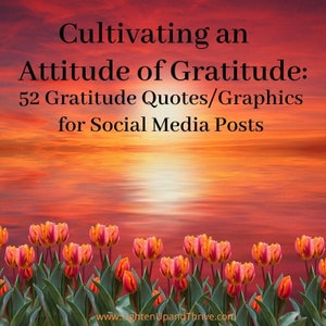 52 citas gráficas para redes sociales con temática de gratitud de DFY, tiene un diario complementario, citas inspiradoras, citas de gratitud, DESCARGA DIGITAL