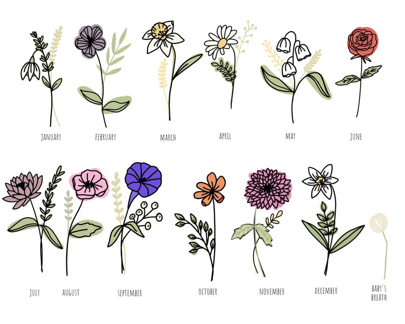 May include: A printable chart featuring a different flower for each month of the year. The flowers are drawn in black outline with colored accents. The months are listed below each flower.