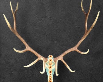 May include: A set of elk antlers with a painted skull in a geometric pattern of blue, yellow, and brown. The antlers are mounted on a dark gray wall.