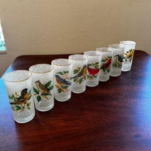 Vintage 1950’s Set of 8 West Virginia Glass Frosted Songbird 12 Ounce Glasses Complete Set