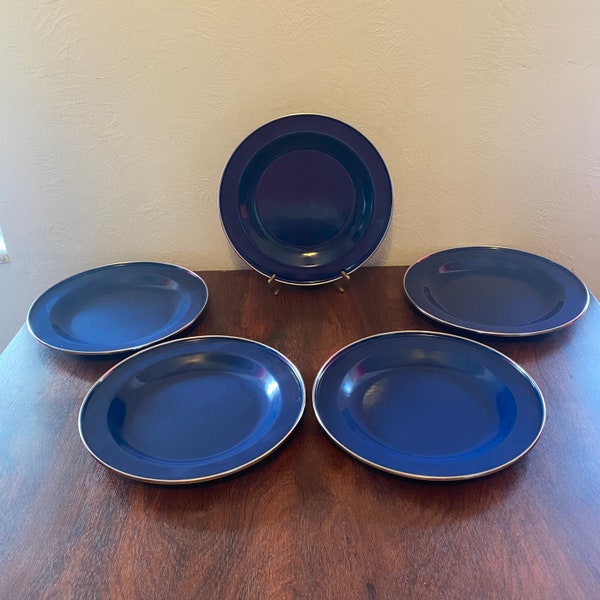 Vintage Set of 5 Pottery Barn Partyware Blue Enamel 10” Diameter Dinner Plates/ Minor Wear & Color Dulling