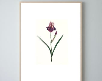 1 original watercolor • original watercolor • flower