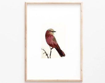 1 original watercolor of bird • acuarela original