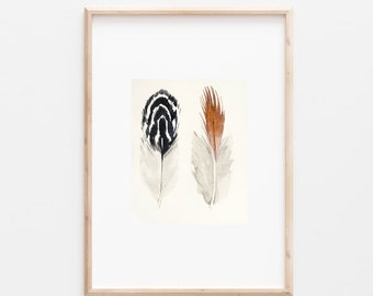 One original watercolor / feathers