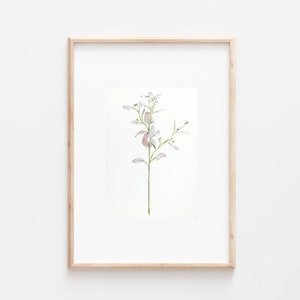 One original watercolor / original watercolor / flower image 1