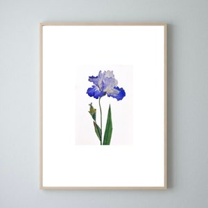 Een originele aquarel van een bloem • lelie • lelie • originele aquarel • 14,8 x 10,5 cm