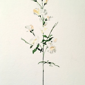 Original Watercolor