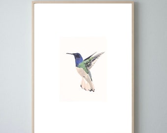 Eén originele aquarel van een vogel • kolibrie • originele aquarel • 14,8 x 10,5 cm