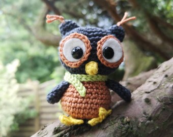 May include: A small crocheted owl toy with black, brown, green, and yellow yarn. The owl has large white eyes with black pupils.