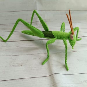 Puede incluir: Un juguete de saltamontes de peluche hecho a mano, en fieltro verde brillante con detalles en verde oscuro y marrón. El insecto tiene patas y antenas largas y delgadas. El juguete se exhibe sobre una superficie clara con vetas de madera.