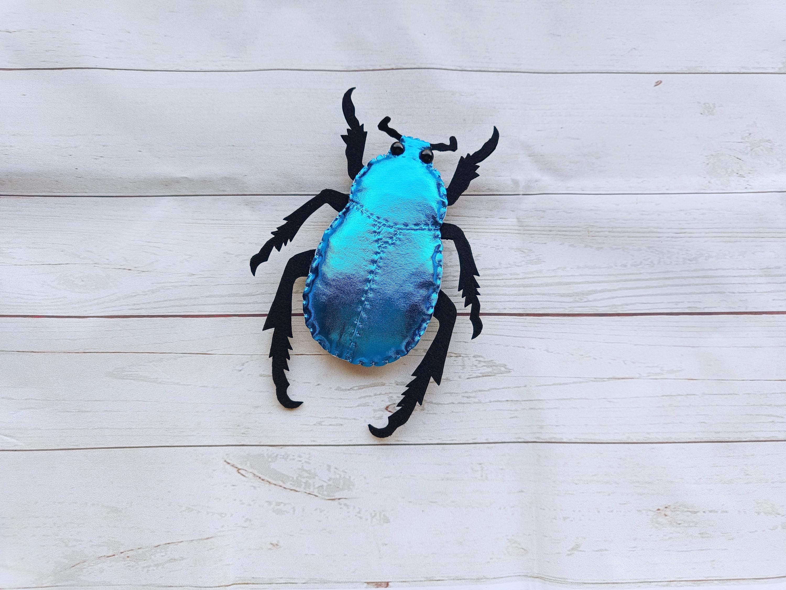 フランス産 アシナカコガネセット Hoplia coerulea blue 【公式通販】