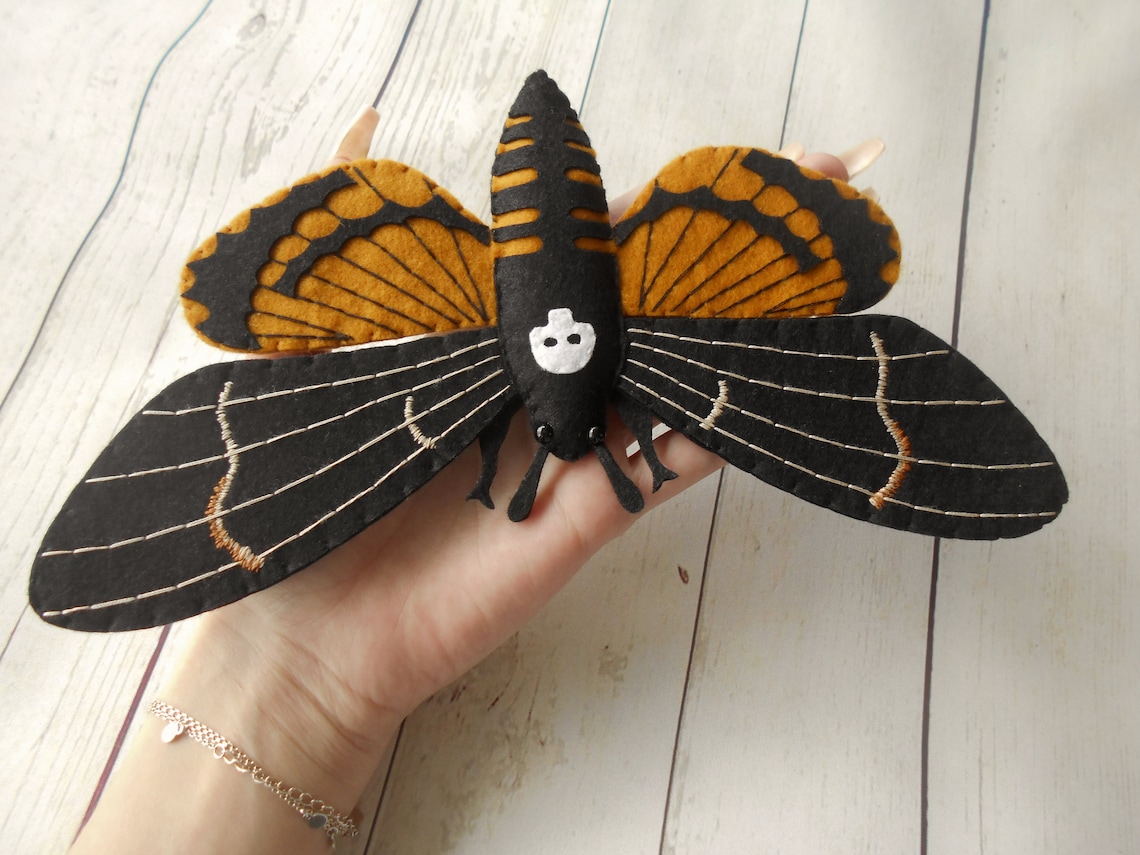 Realistic death head moth felted toy Young naturalist gift | Etsy