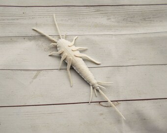 Realistic silverfish figure from felt Felted silverfish Felt insects  learning of bugs and beetled Bug home decor Entomologist gift