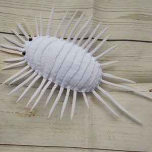 May include: White felt trilobite with long, thin, white spines. The trilobite has two black eyes.