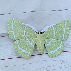 Puede incluir: Una mariposa de fieltro verde con costuras blancas y ojos negros. La mariposa está sobre un fondo de madera blanca.