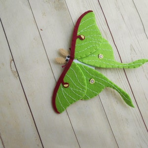 Realistic felted Luna Moth Young naturalist gift Felt moth Figure of Luna moth Felt butterfly Kids learn insects Kids learning bugs