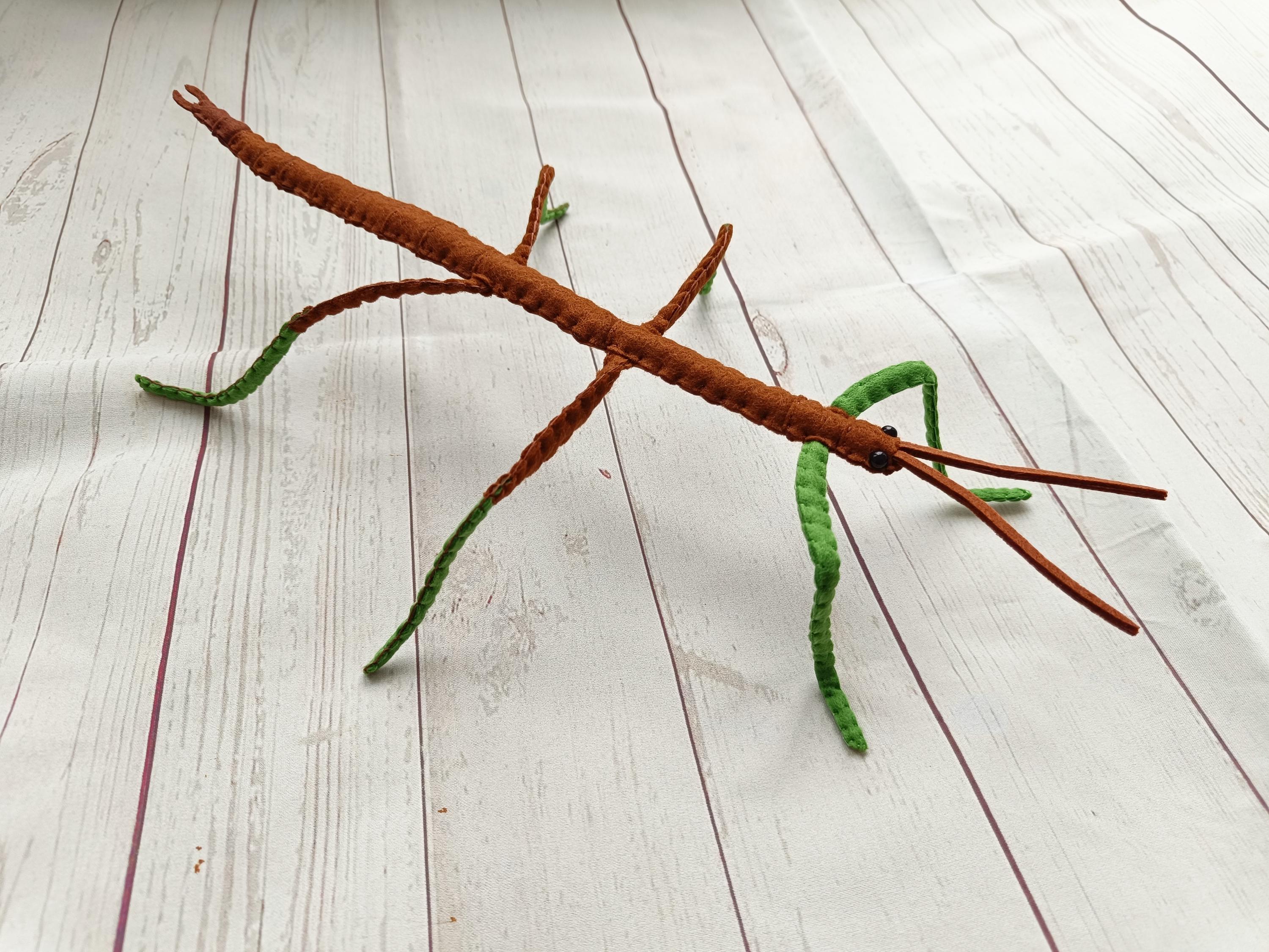 Stick Insect 33cm Realistic GIANT Stick Insect From Felt Brown Stick Insect Northern ...