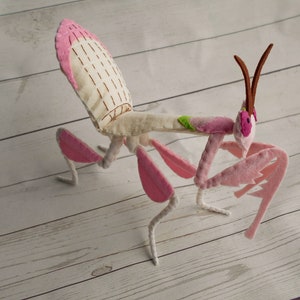 May include: A pink and white felt praying mantis with brown antennae. The mantis has a detailed embroidered design on its back.