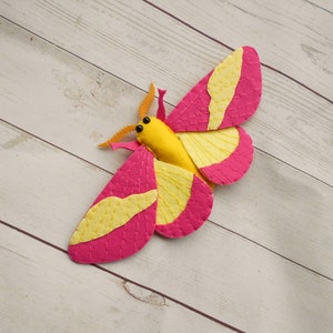 May include: A pink and yellow felt butterfly with black eyes and orange antennae. The butterfly is on a white wooden surface.