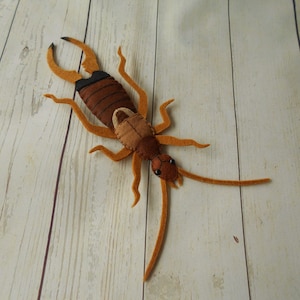 Op de afbeelding: Een bruine en beige wollen oorworm met lange antennes en poten. De oorworm ligt op zijn rug op een licht houten oppervlak.