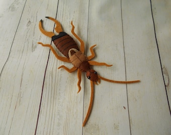 Giocattolo di insetti in feltro Giocattoli di insetti realistici in feltro Forbicina realistica di insetti in feltro Regalo originale per giovani naturalisti Impara a conoscere coleotteri e insetti
