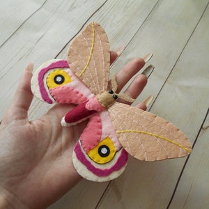 Realistic automeris pamina saturn moth from felt Felted moth toy Felt bug Kids learn insects Automeris cecrops figurine Realistic moth toy