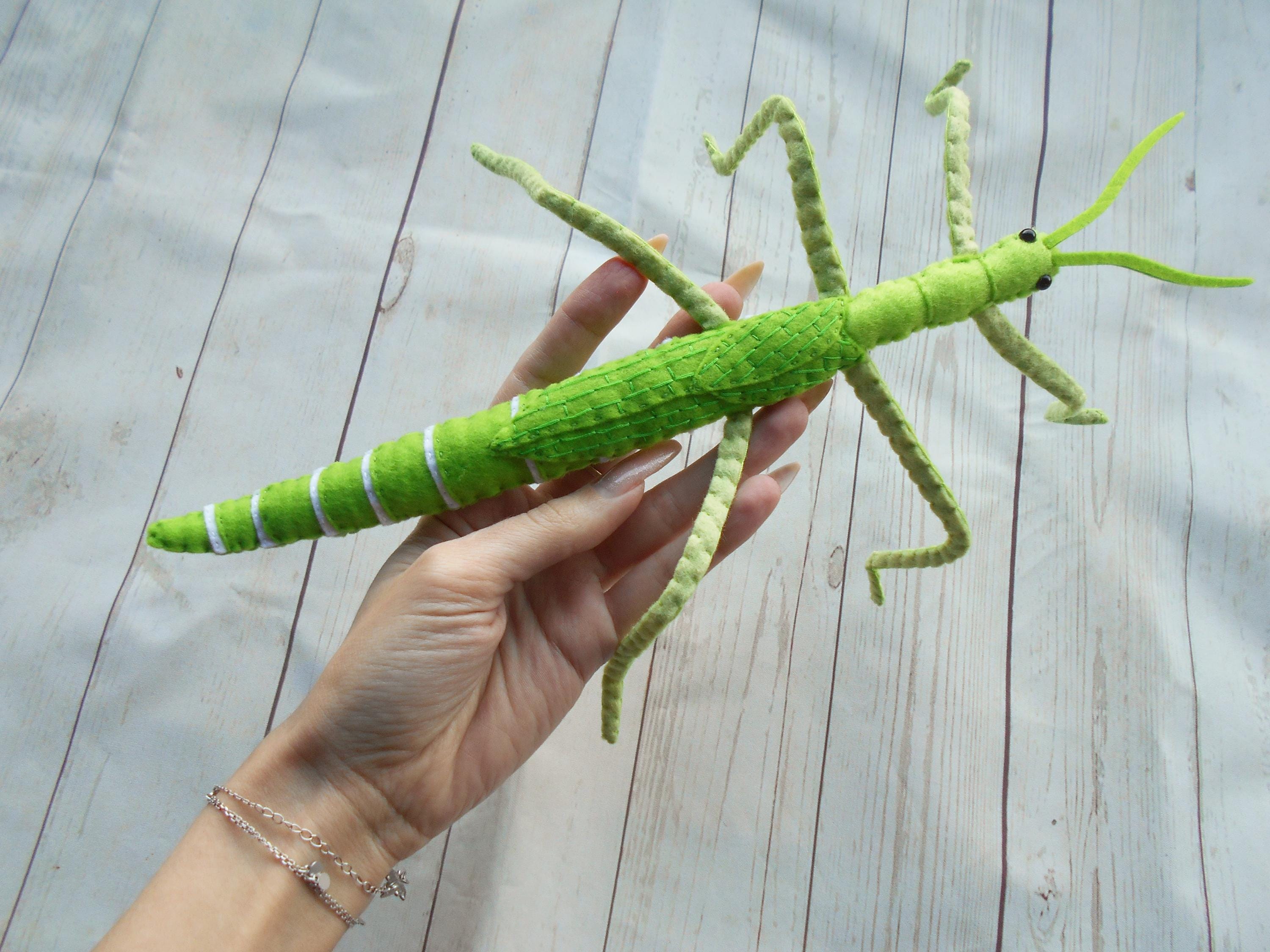 Realistic GIANT Stick Insect From Felt Green Goliath Stick Insect ...