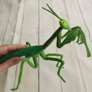 Realistic mantis figure from felt Kids learn bugs Green mantis felt toy Young naturalist gift felted bugs and beetles