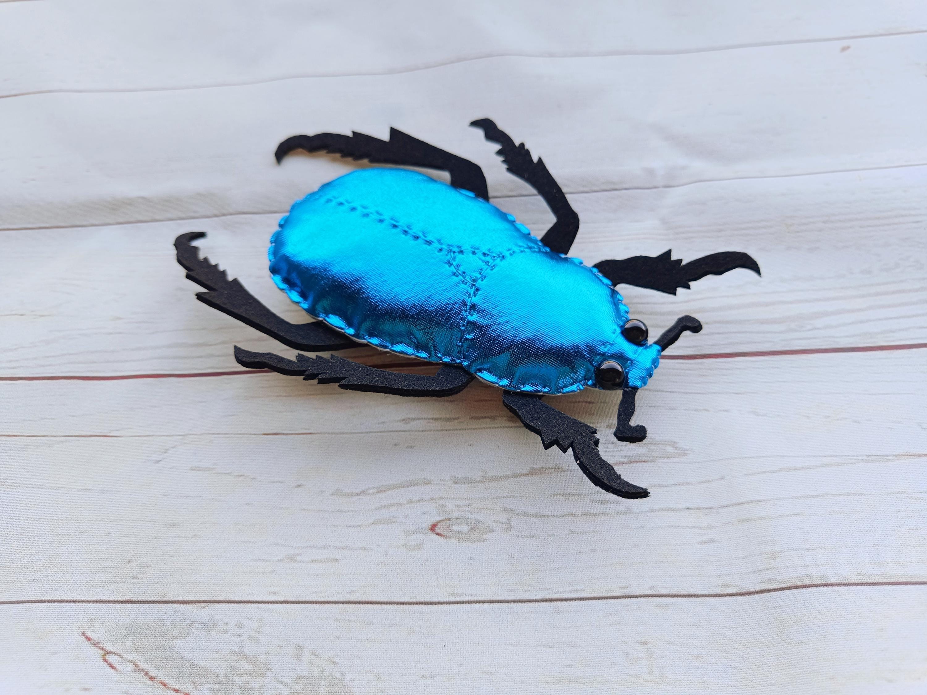 フランス産　アシナカコガネ　セット　Hoplia coerulea blue フランス産 アシナカコガネ セット Hoplia coerulea blue