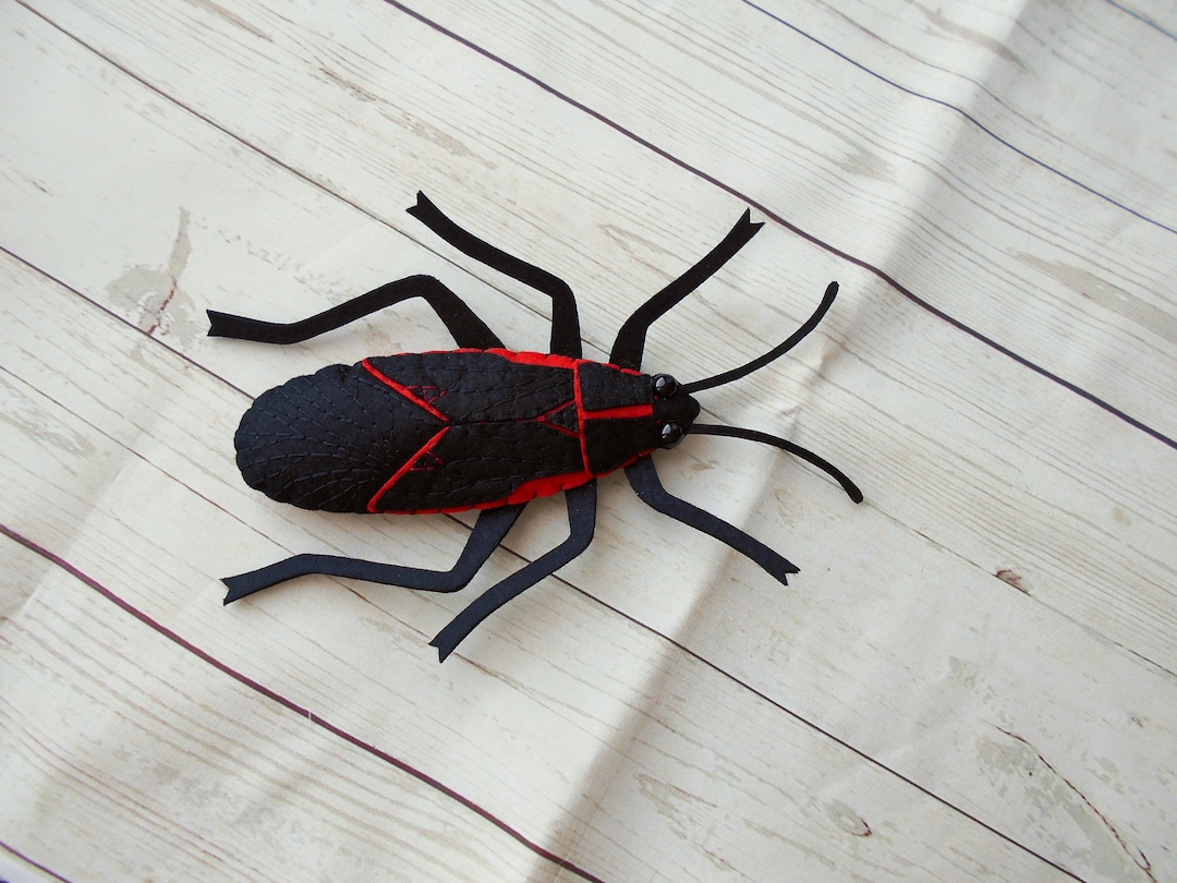 Boxelder Bug From Felt - Realistic Insect Figure Black Beetle