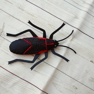 Op de afbeelding: Een zwart en rood vilt insect met zwarte poten en antennes. Het insect ligt op een licht houten oppervlak.