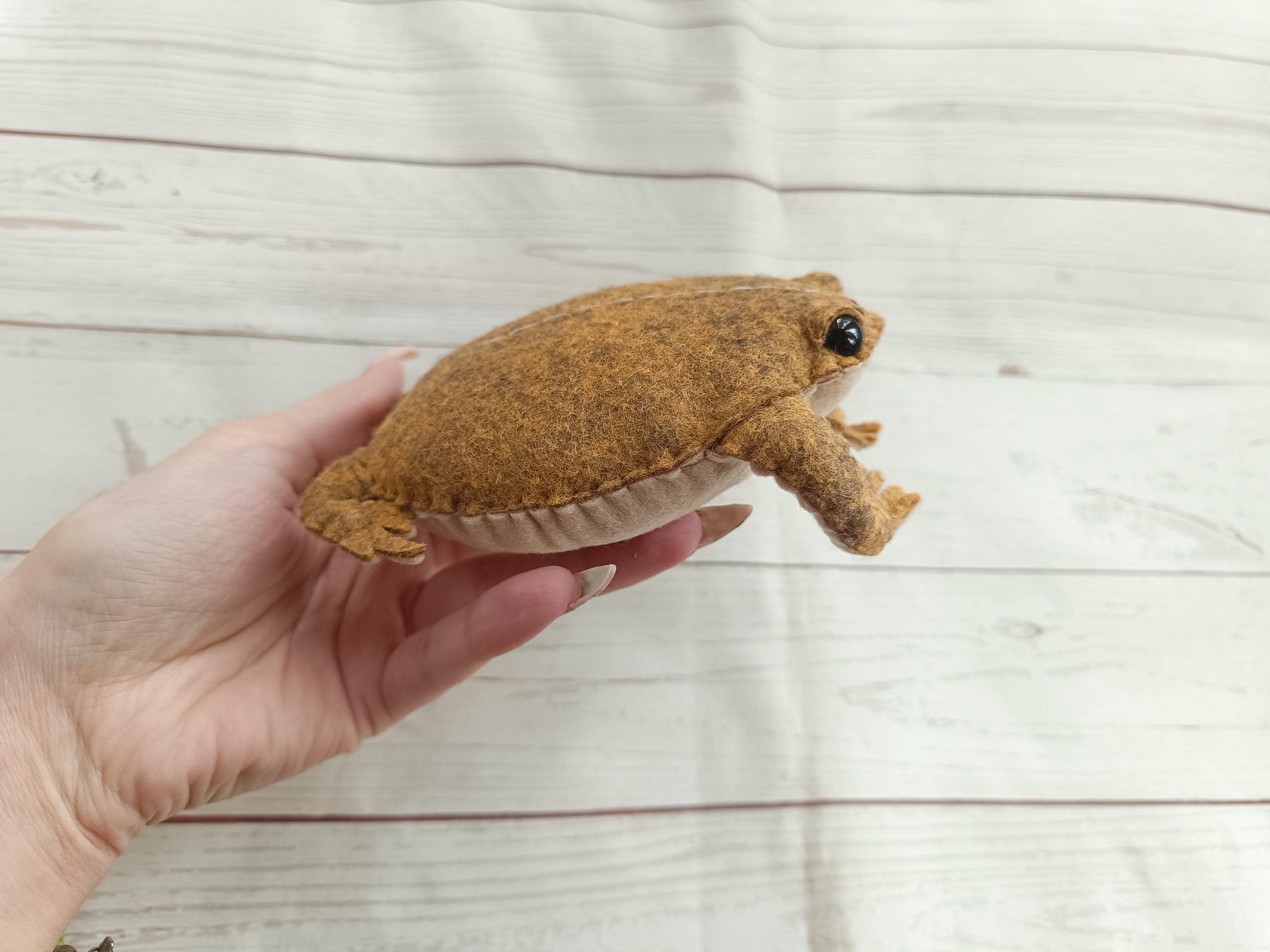 Realistic Rain Frog Figurine From Felt Soft Felt Rain Frog Figure