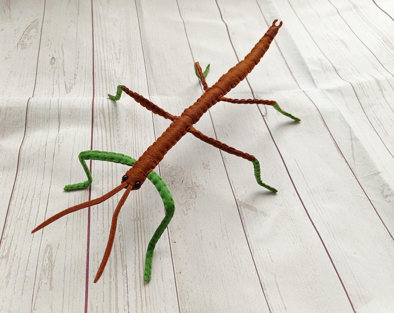 Realistic GIANT Stick Insect From Felt Brown Stick Insect Northern ...