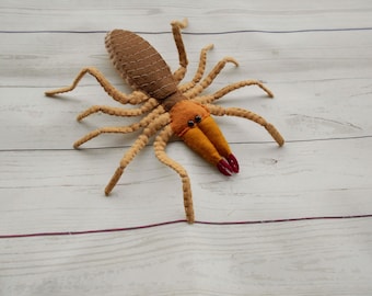 Realistic Camel spider from felt Felted spider figure Realistic Solifugae from felt Learning spiders Entomologist gift Outdoor education
