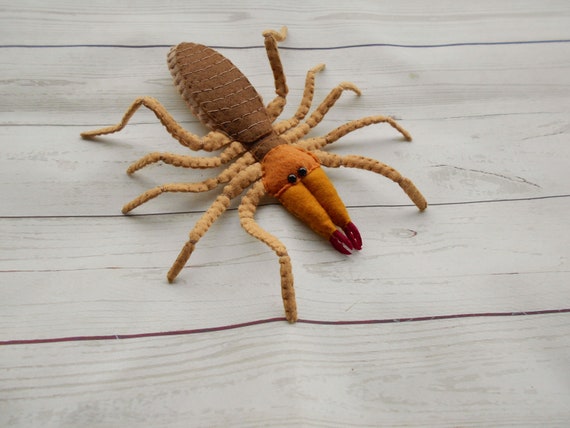 Realistic Camel Spider From Felt Felted Spider Figure Realistic Solifugae From Felt Learning Spiders Entomologist Gift Outdoor Education - Etsy Realistic Camel Spider From Felt Felted Spider Figure Realistic Solifugae From Felt Learning Spiders Entomologist Gift Outdoor Education - Etsy