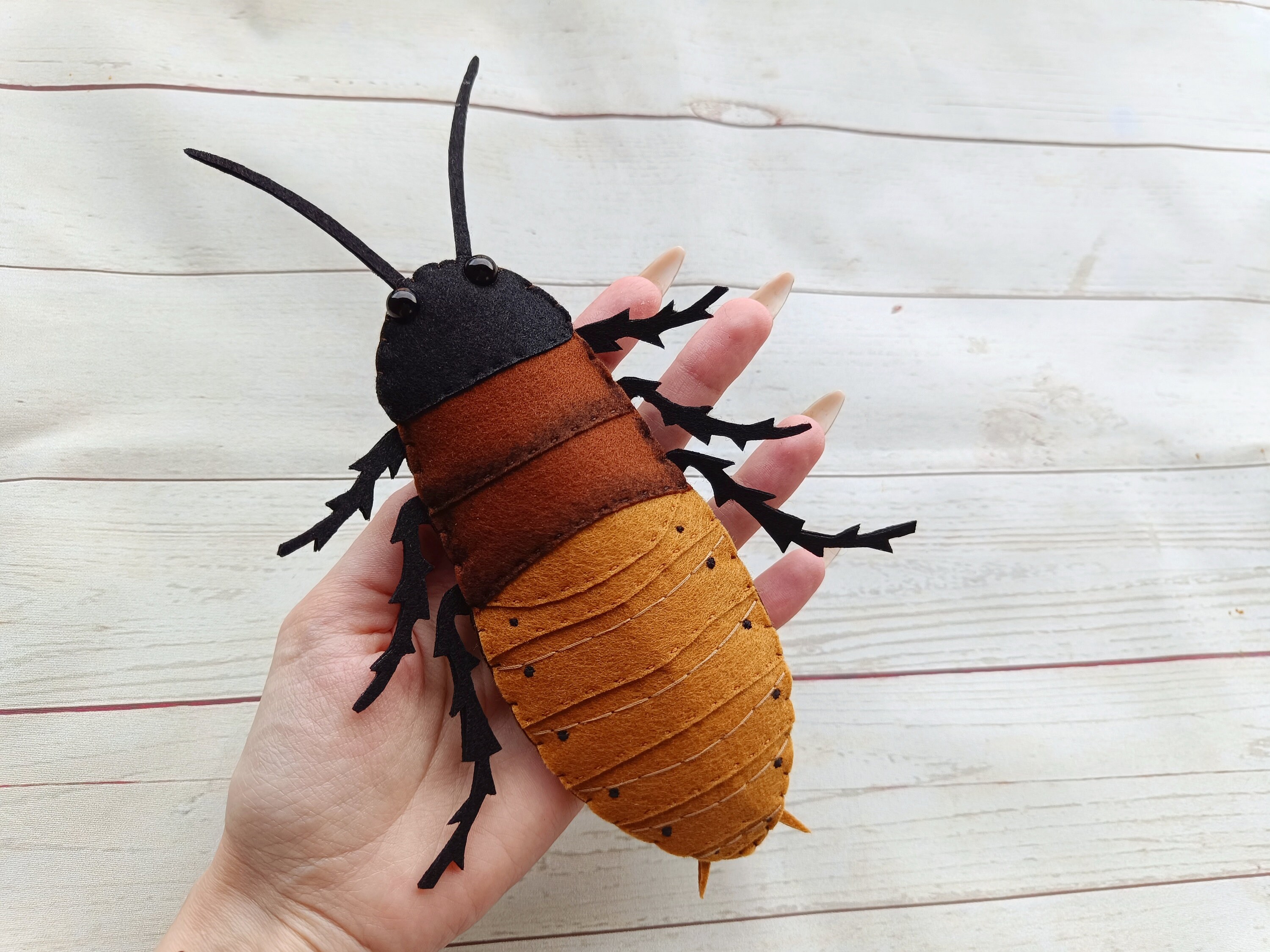フェルトで作ったリアルなマダガスカルゴキブリ。面白いフェルト製マダガスカルゴキブリ。昆虫学者へのギフト。虫や昆虫の学習。 - Etsy 日本