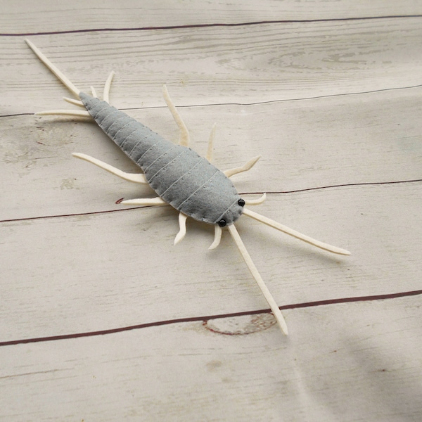 Realistic silverfish figure from felt Felted silverfish Felt insects - learning of bugs and beetled Bug home decor Entomologist gift