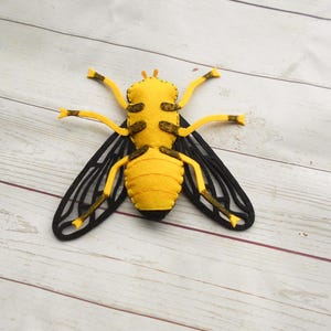 Felt Fly Realistic Plushback Fly From Felt Realistic Palpada Agrorum Felt ...
