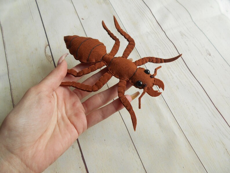 May include: A brown felt ant with black eyes. The ant is about 6 inches long and has a segmented body and six legs.