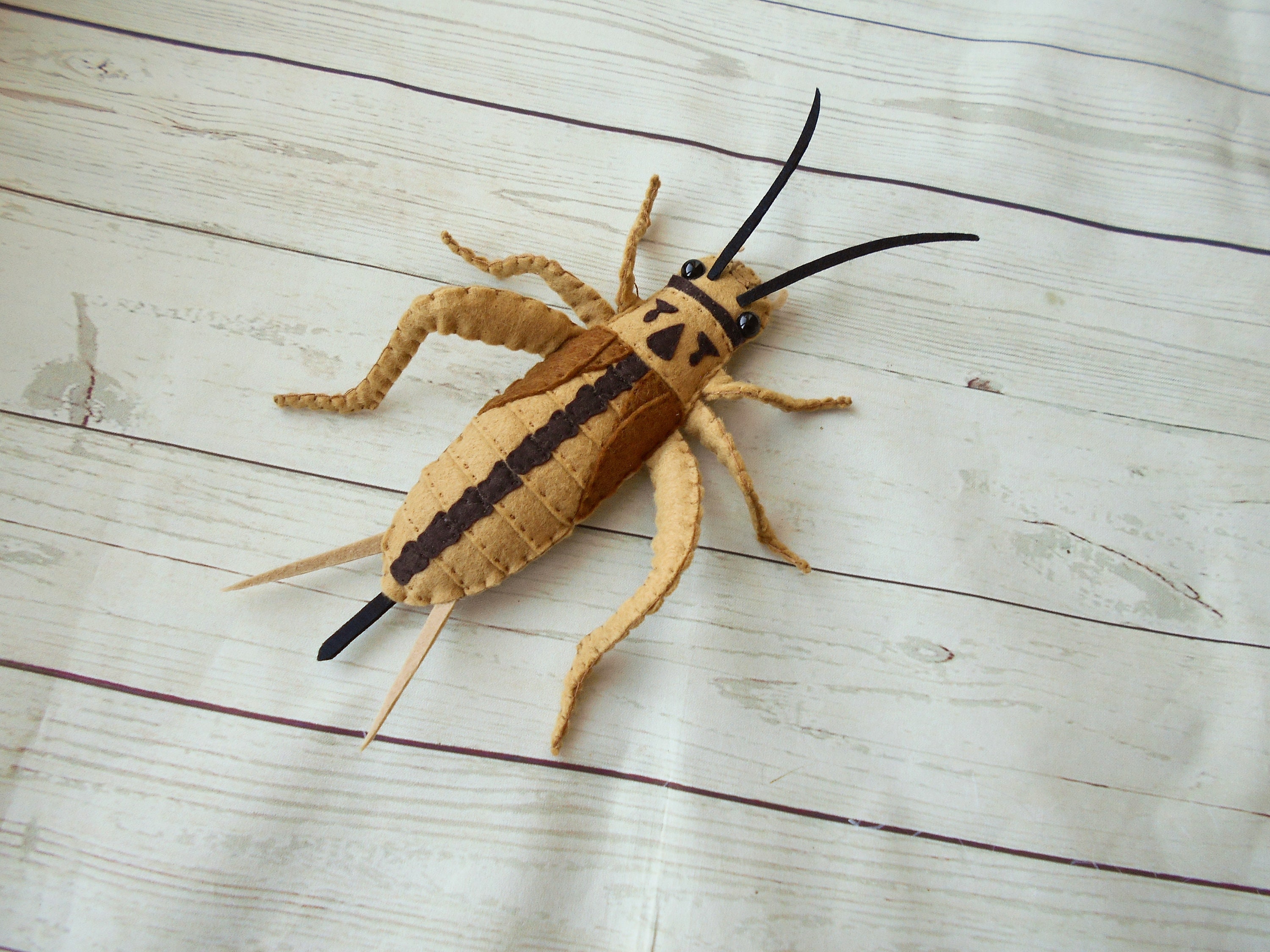 Realistic Hawaiian Cricket From Felt Laupala Cricket Figurine