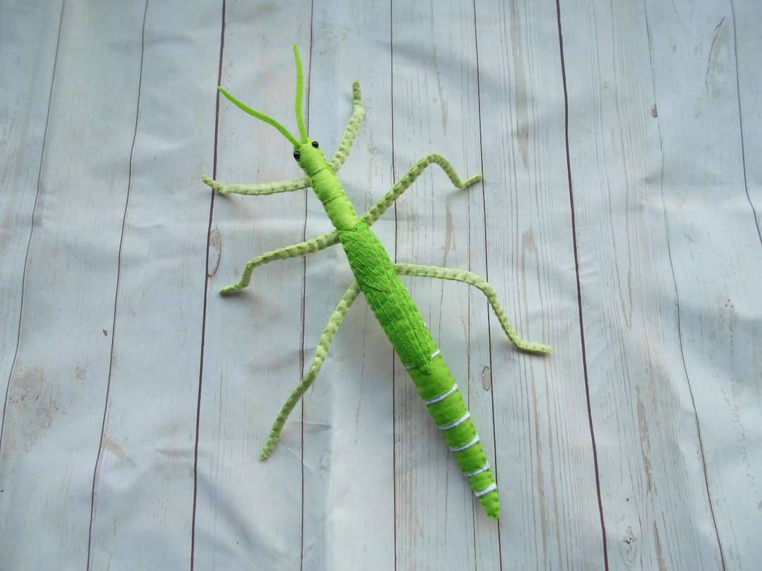 Realistic GIANT Stick Insect From Felt Green Goliath Stick Insect