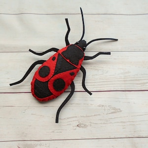 Realistic Pyrrhocoris apterus from felt Red Fire beetle Felt bug collection Felted red black beetle Outdoor education Kids learning