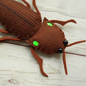Realistic Fire Beetle - Pyrophorus Plush Fire Beetle Bright Fire Insect ...