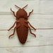 Realistic Fire Beetle Pyrophorus Plush Fire Beetle Bright Fire Insect ...
