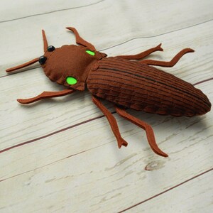 Realistic Fire Beetle - Pyrophorus Plush Fire Beetle Bright Fire Insect ...