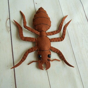 May include: A brown felt ant with black eyes and stitched details. The ant has six legs and a segmented body.