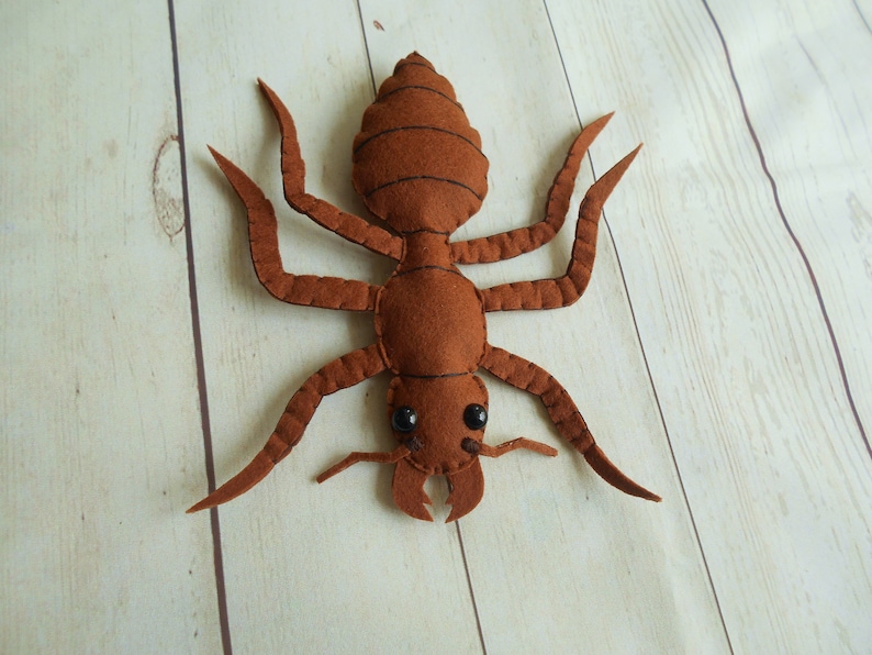 May include: A brown felt ant with black eyes and stitched details. The ant has six legs and a segmented body.