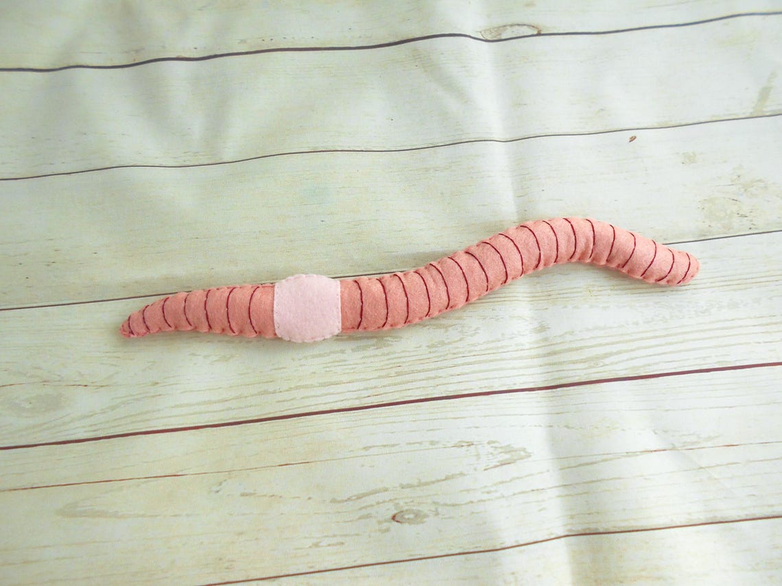 Realistic Earthworm Figure From Felt Soft Worm Realistic Figurine Felt ...