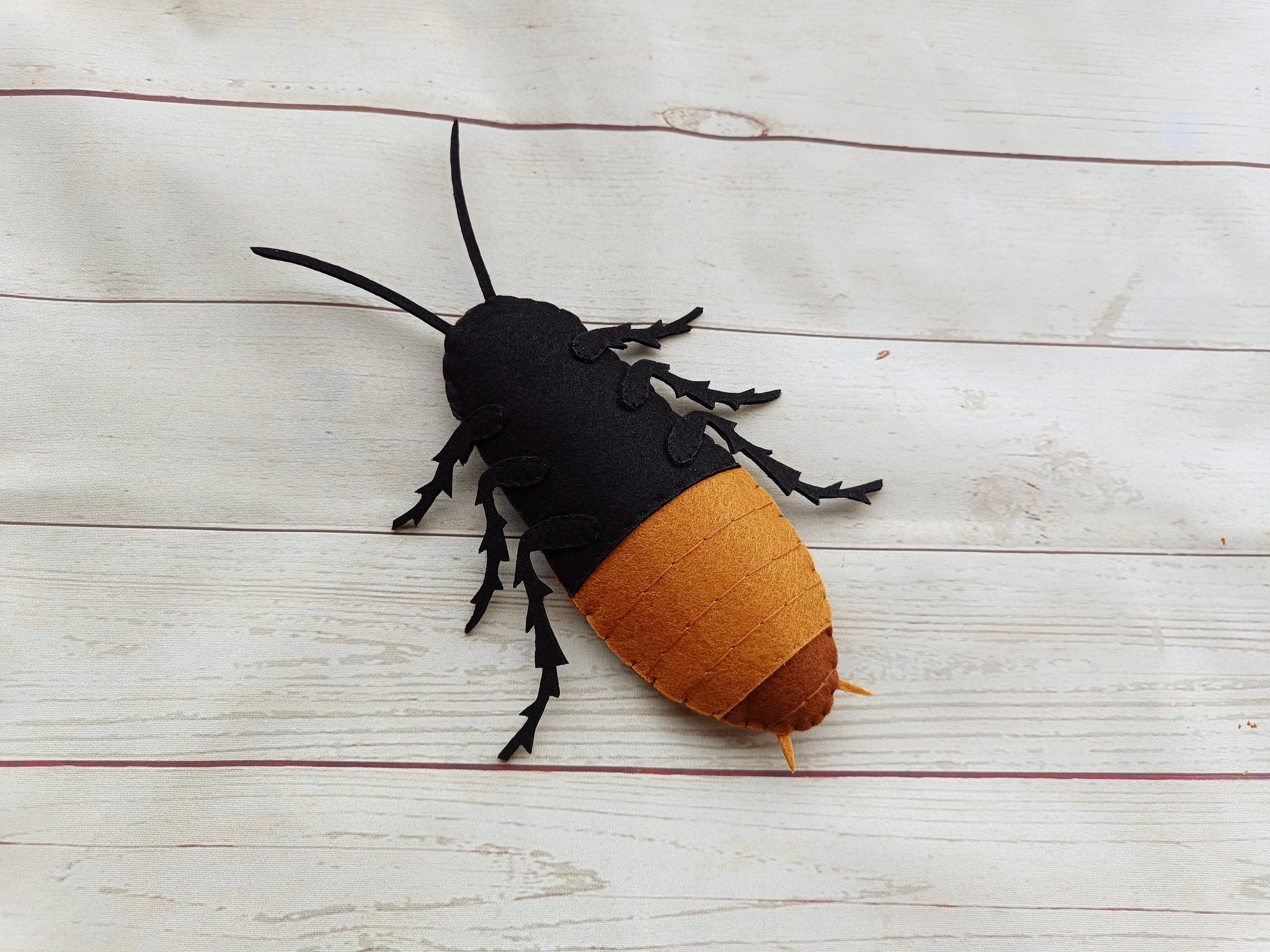 Realistic Madagascar Hissing Cockroach From Felt Funny Felted Madagascar  Cockroach Entomologist Gift Learning Bugs and Insects
