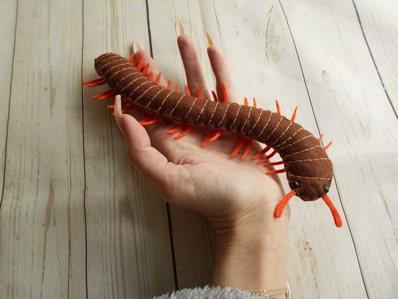 Realistische duizendpoot van vilt voor jonge natuuronderzoeker Gevilte duizendpoot beeldje Vilt bug speelgoed Gevilte realistische bugs Kinderen leren afbeelding 5